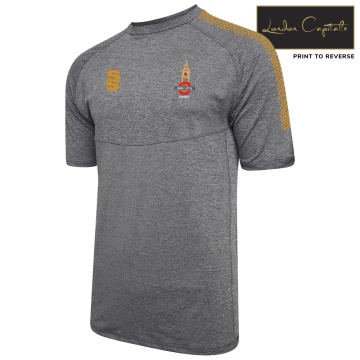 Dual Gym T-shirt - Grey/Gold - Unisex